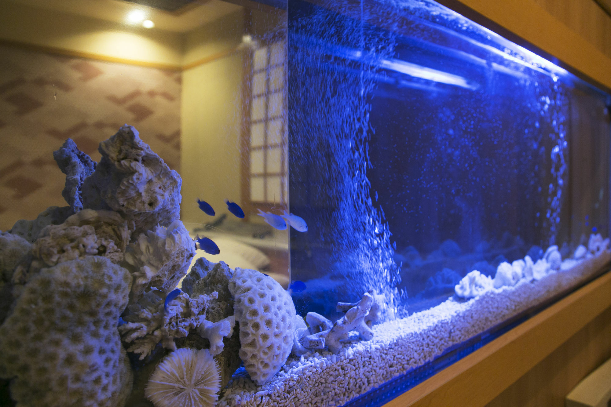 Hotel Atlantis Higashi Osaka (Adults Only) Exterior foto